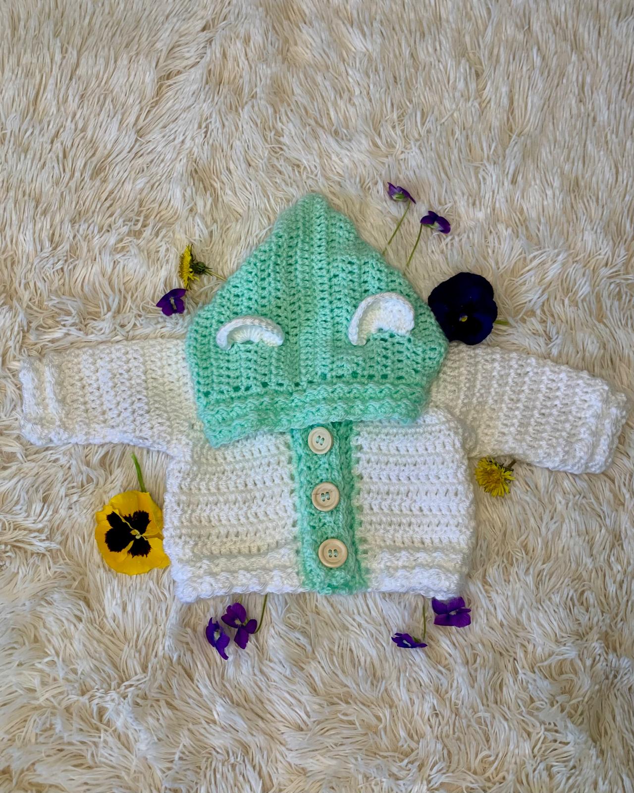 Baby Hoodie - 0-6 Month